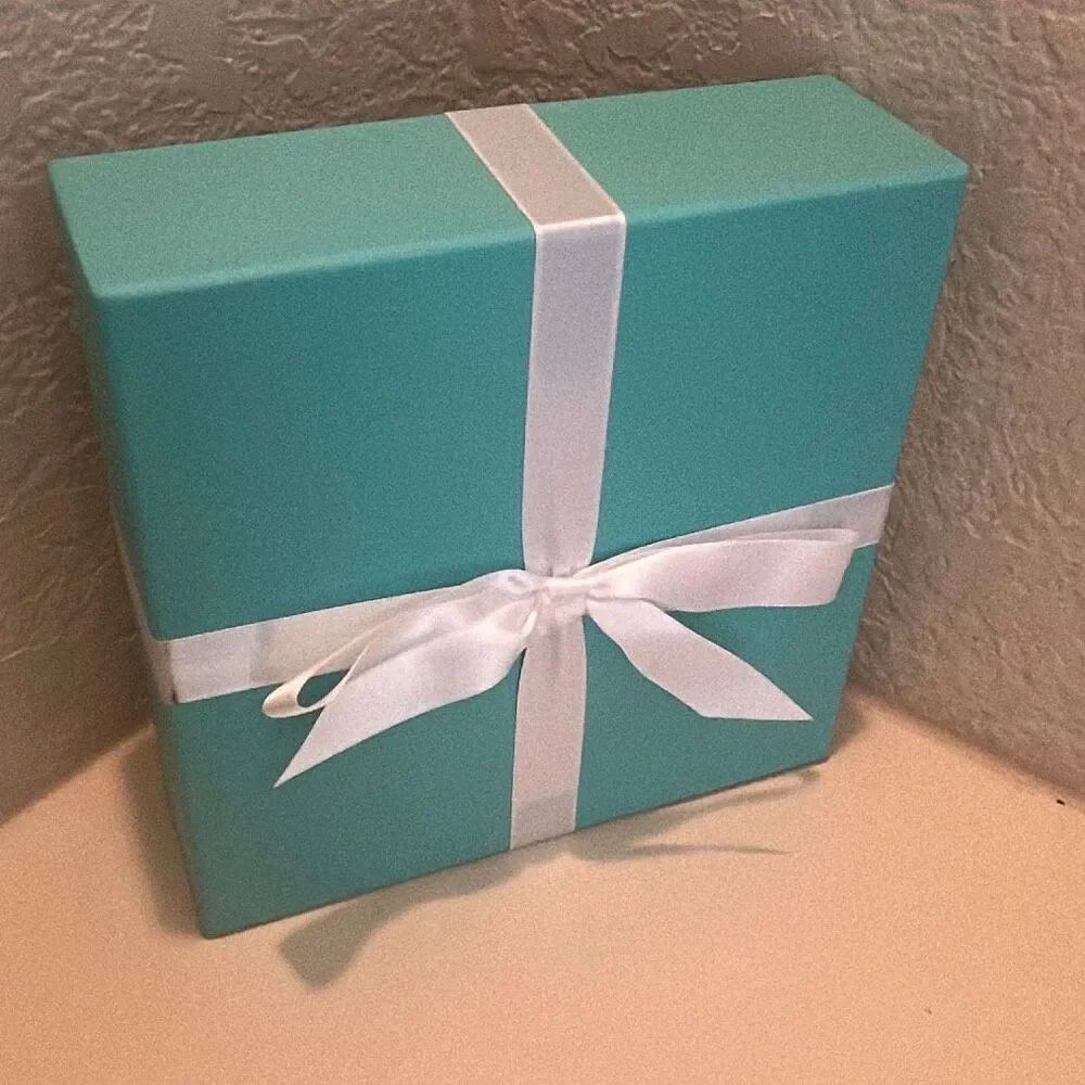 Tiffany & Co Iconic Blue Gift Box White Bow Storage Luxury Display Decor - Picture 8 of 10